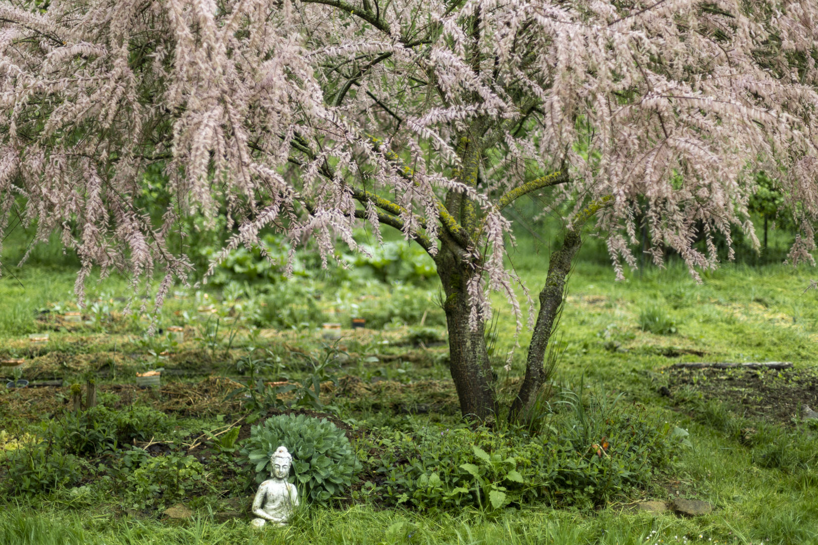 1001 Songes — photo d’Olivier Fernandes — 73